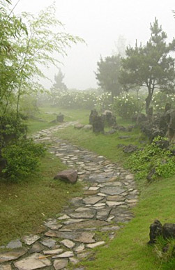 Feng Shui Beratung Garten